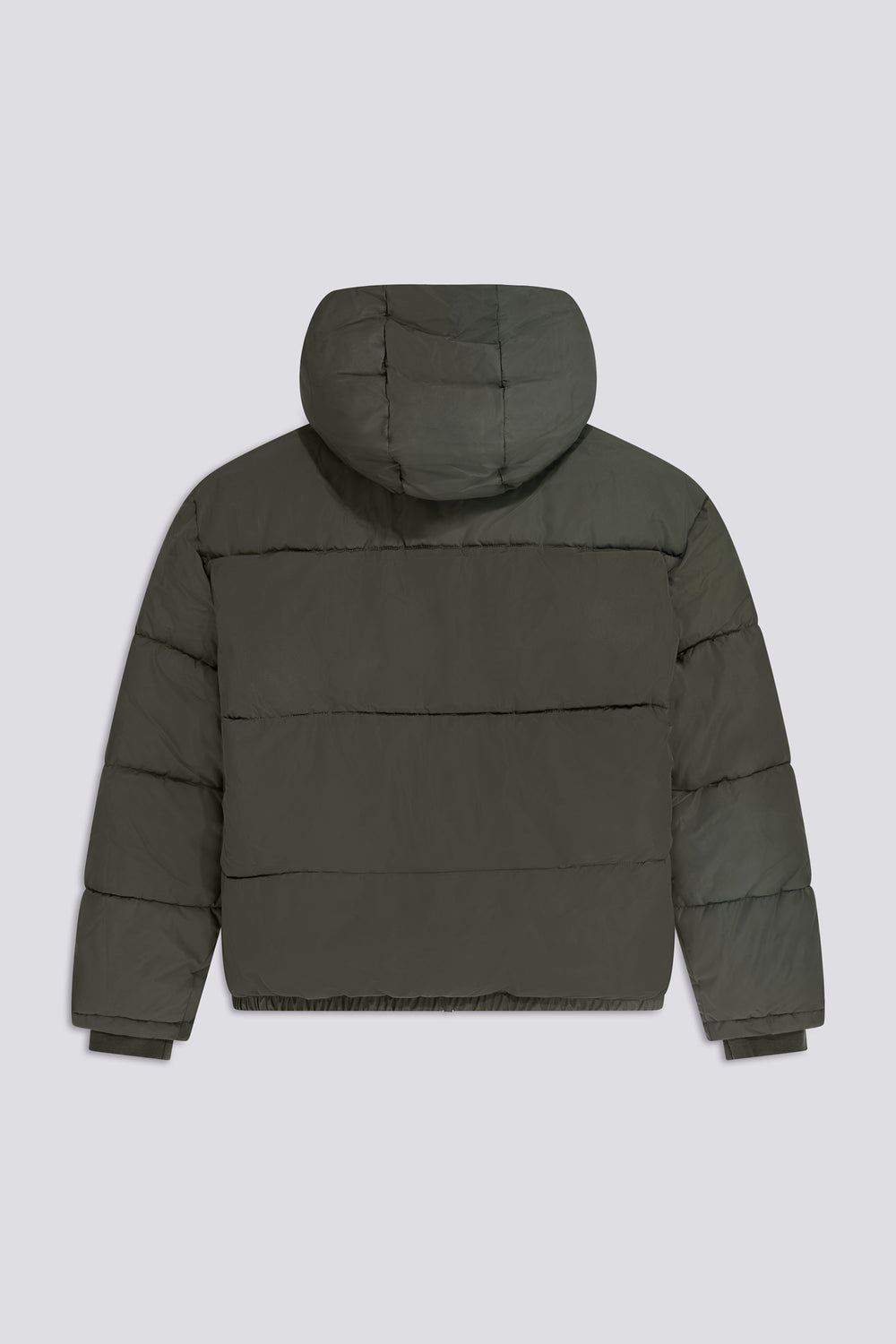 CAVIR 3649 - Men's Regular Fit green hooded jacket - secondary image