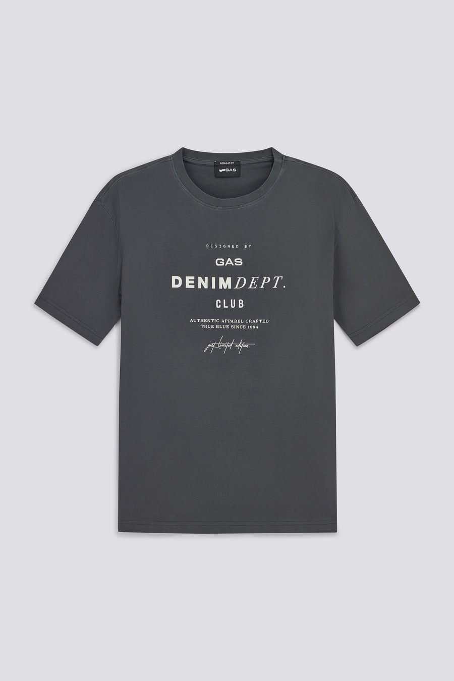 DHARIS "DENIM DEPT" 3920 - Men's gray regular fit t-shirt - main image