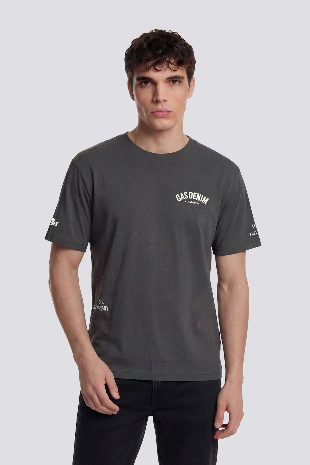 DHARIS M/C"COMPANY" 3920 - Men's regular fit gray T-shirt - secondary image