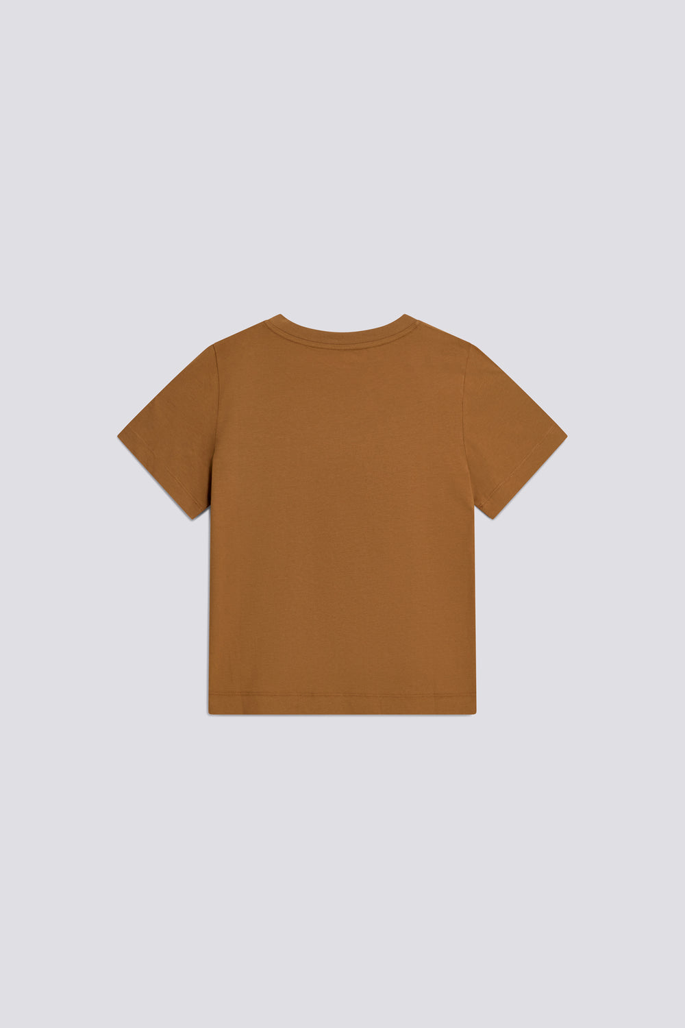 IRIN M/C GAS 0456 - Camiseta de mujer de corte regular marrón - secondary image