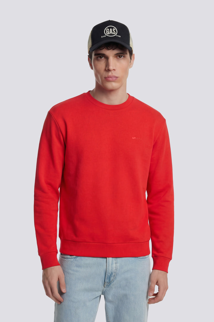 SWEN  LOGO G.H.D. 1393